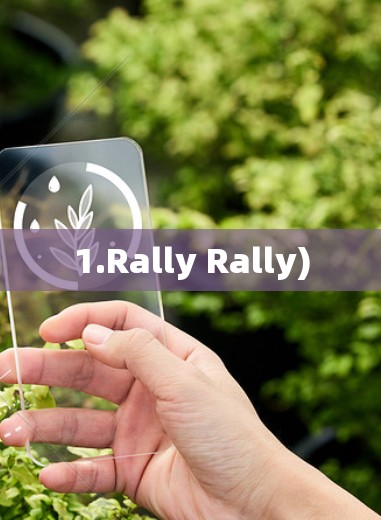 1.Rally Rally)