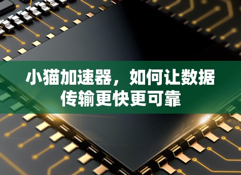 小猫加速器,如何让数据传输更快更可靠 小猫加速器,如何让数据传输更快更可靠