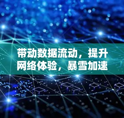 带动数据流动，提升网络体验，暴雪加速器免费版下载指南