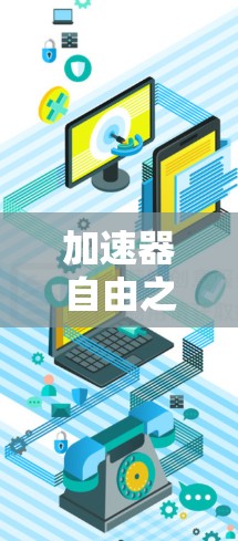 加速器自由之选，选择合适的加速器，开启更快的网络之旅