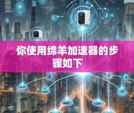 你使用绵羊加速器的步骤如下