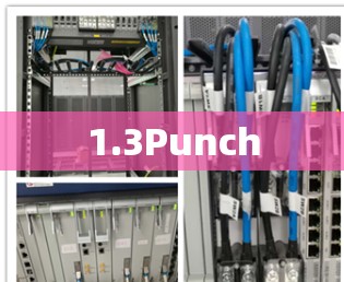 1.3Punch
