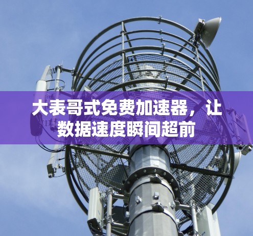 大表哥式免费加速器，让数据速度瞬间超前
