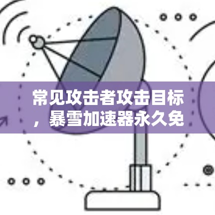 常见攻击者攻击目标，暴雪加速器永久免费版全面解析