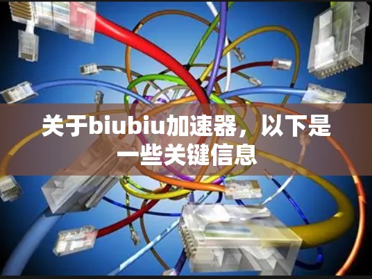 关于biubiu加速器，以下是一些关键信息