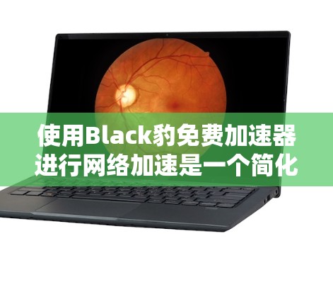 使用Black豹免费加速器进行网络加速是一个简化且高效的工具，以下是一步步的指南