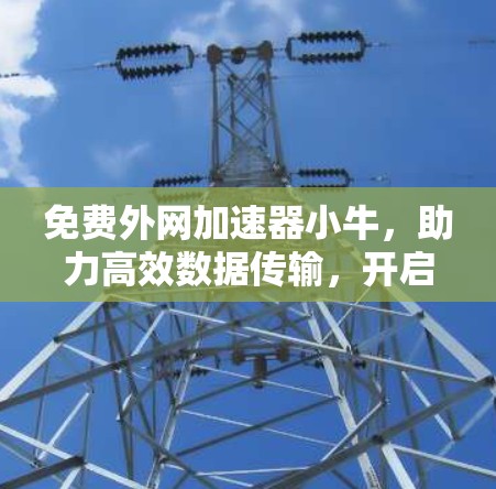 免费外网加速器小牛，助力高效数据传输，开启数字世界的新篇章