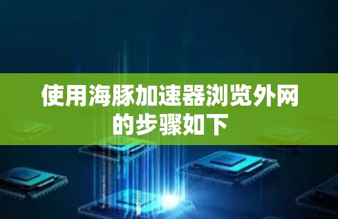 使用海豚加速器浏览外网的步骤如下 使用海豚加速器浏览外网的步骤如下