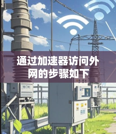 通过加速器访问外网的步骤如下