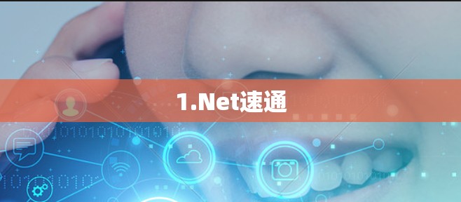 1.Net速通
