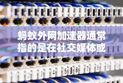 蚂蚁外网加速器通常指的是在社交媒体或网络加速器应用中找到的专门用于加速下载、加载资源或下载网站的工具。这些工具通常会提供更快的加载速度，帮助用户更快地完成下载、加载或下载所需内容