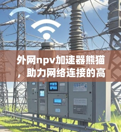 外网npv加速器熊猫，助力网络连接的高效与便捷