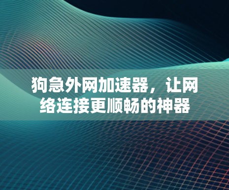 狗急外网加速器,让网络连接更顺畅的神器 狗急外网加速器,让网络连接更顺畅的神器