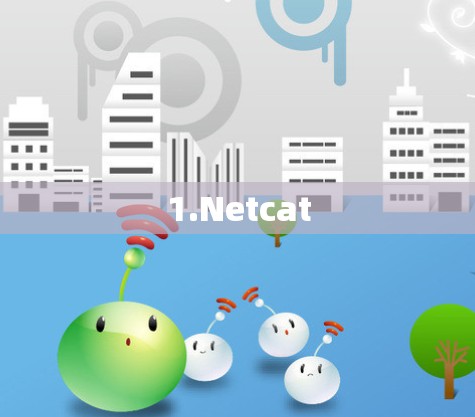 1.Netcat 1.Netcat