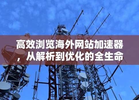 高效浏览海外网站加速器，从解析到优化的全生命周期解决方案