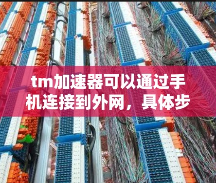 tm加速器可以通过手机连接到外网，具体步骤如下