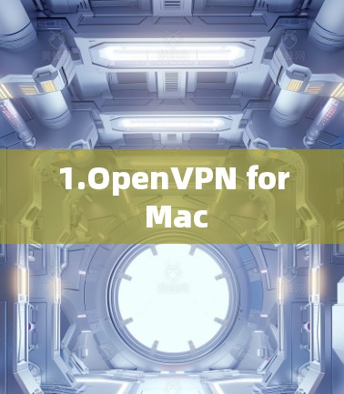 1.OpenVPN for Mac