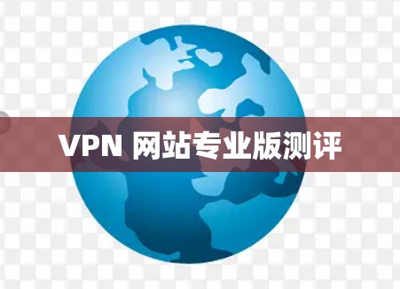 VPN 网站专业版测评 VPN 网站专业版测评