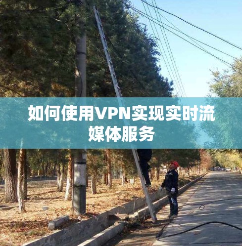 如何使用VPN实现实时流媒体服务