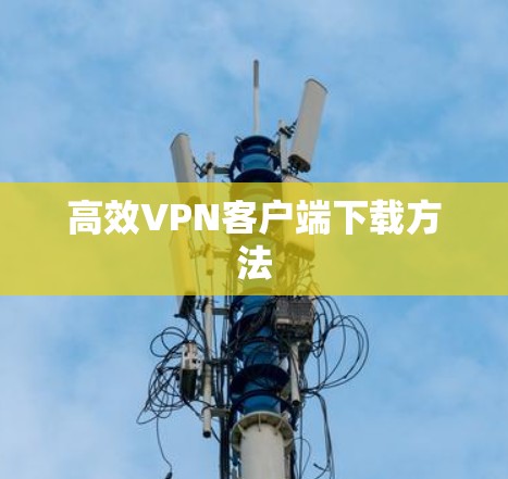高效VPN客户端下载方法