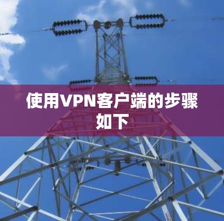 使用VPN客户端的步骤如下