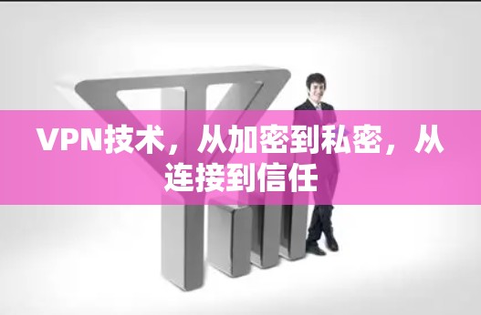 VPN技术,从加密到私密,从连接到信任 VPN技术,从加密到私密,从连接到信任