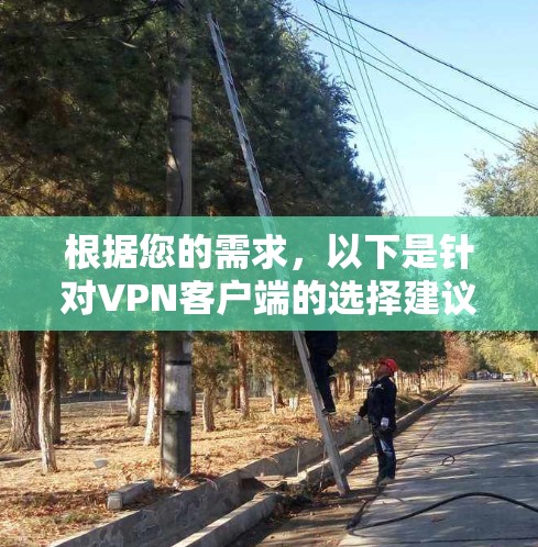 根据您的需求，以下是针对VPN客户端的选择建议