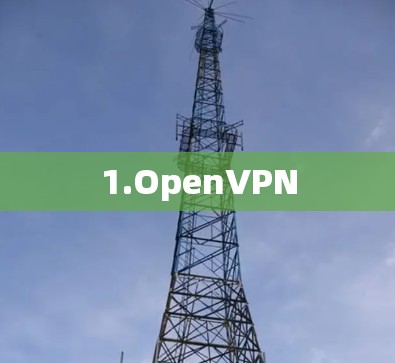 1.OpenVPN