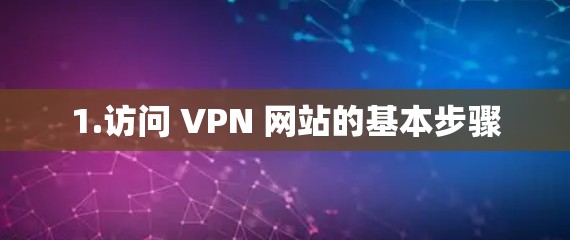 1.访问 VPN 网站的基本步骤