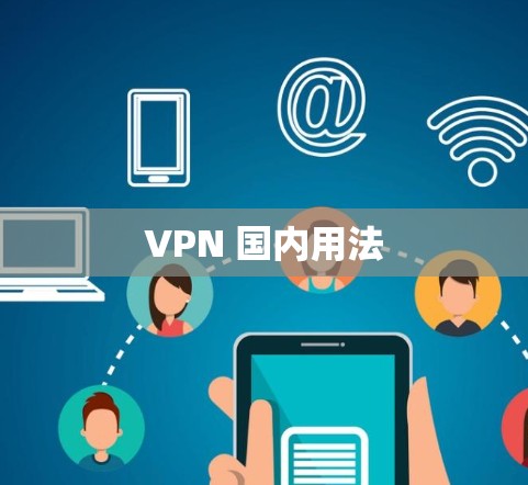 VPN 国内用法 VPN 国内用法