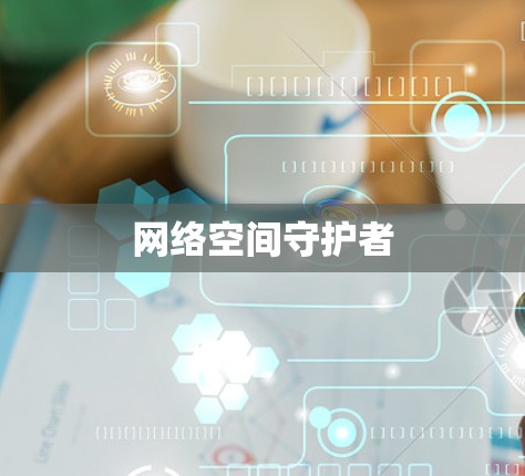 网络空间守护者