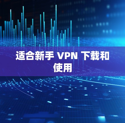 适合新手 VPN 下载和使用