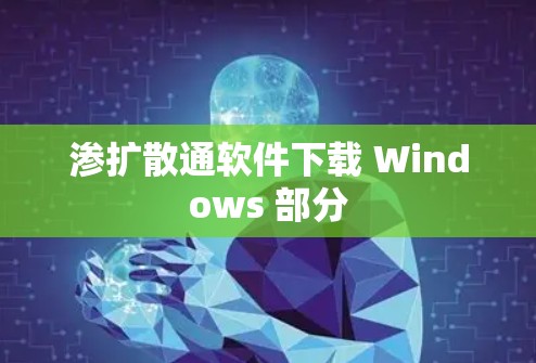 渗扩散通软件下载 Windows 部分