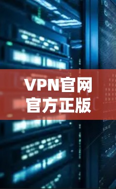 VPN官网官方正版，安全可靠，轻松上手