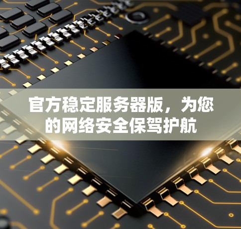 官方稳定服务器版，为您的网络安全保驾护航