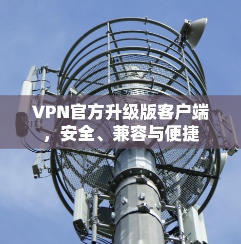 VPN官方升级版客户端，安全、兼容与便捷