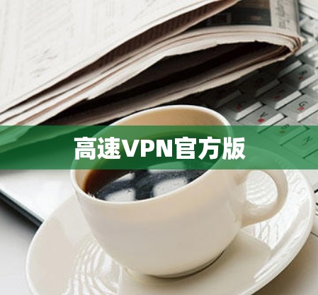 高速VPN官方版