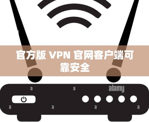 官方版 VPN 官网客户端可靠安全