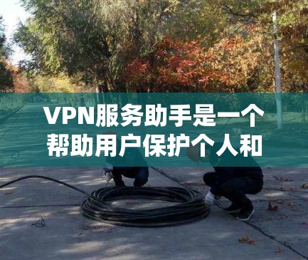 VPN服务助手是一个帮助用户保护个人和机构数据安全的网络服务工具。以下是关于VPN服务助手的详细说明