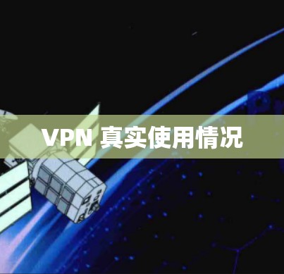 VPN 真实使用情况
