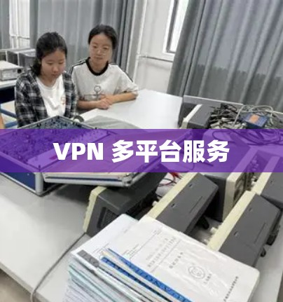 VPN 多平台服务